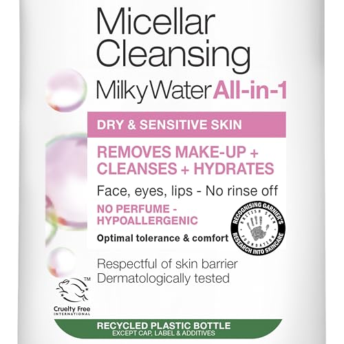 Garnier SkinActive Micellar Cleansing Water