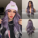 Esmee 24 Inches Long Wavy Mixed Silver Grey Synthetic Hair Wigs for Women Ombre Wig with Dark Roots for Daily Party Cosplay Use