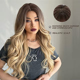 Esmee 24 Inches Long Wavy Mixed Silver Grey Synthetic Hair Wigs for Women Ombre Wig with Dark Roots for Daily Party Cosplay Use