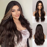 Esmee 24 Inches Long Wavy Mixed Silver Grey Synthetic Hair Wigs for Women Ombre Wig with Dark Roots for Daily Party Cosplay Use