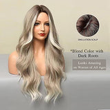 Esmee 24 Inches Long Wavy Mixed Silver Grey Synthetic Hair Wigs for Women Ombre Wig with Dark Roots for Daily Party Cosplay Use