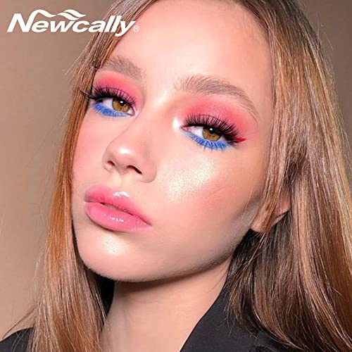 Newcally Lashes False Eyelashes Natural 3D Faux Mink Eye Lashes 10 Pairs 10 Styles Fluffy Wispy Fake Eyelashes Dramatic Handmade Reusable Lashes Pack with 10 Portable Eyelash Boxes