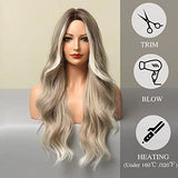 Esmee 24 Inches Long Wavy Mixed Silver Grey Synthetic Hair Wigs for Women Ombre Wig with Dark Roots for Daily Party Cosplay Use