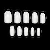 Oval False Nails (Medium Opaque)