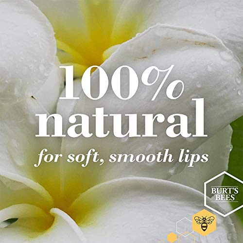 Burt's Bees Honey Lip Balm branding on a floral graphic with white petals, yellow center and 100% natural soft, smooth lips text