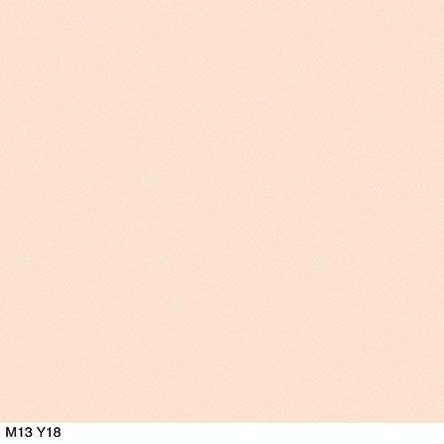 COVERGIRL Trunaked Palette eyeshadow compact in a soft peach shade, with a smooth, plain surface and no visible palette pans
