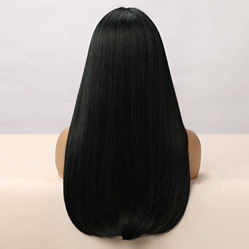 HAIRCUBE 20 Inch Nature Straight Ombre Wigs with long, sleek black synthetic hair and subtle dark brown ends