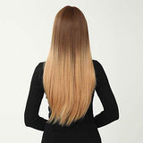 HAIRCUBE 20 Inch Nature Straight Ombre Wigs with smooth straight synthetic hair, dark brown roots fading to light brown ends