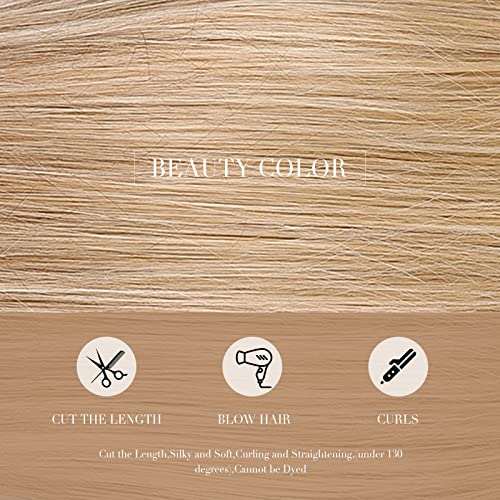 HAIRCUBE 20 Inch Nature Straight Ombre Wigs with light brown straight synthetic fibers and icons for cutting, blow-drying and curling