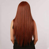 HAIRCUBE 20 Inch Nature Straight Ombre Wigs with long, sleek auburn-brown synthetic hair and subtle dark roots