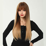 HAIRCUBE 20 Inch Nature Straight Ombre Wigs with long straight brown hair, darker roots, and full blunt bangs