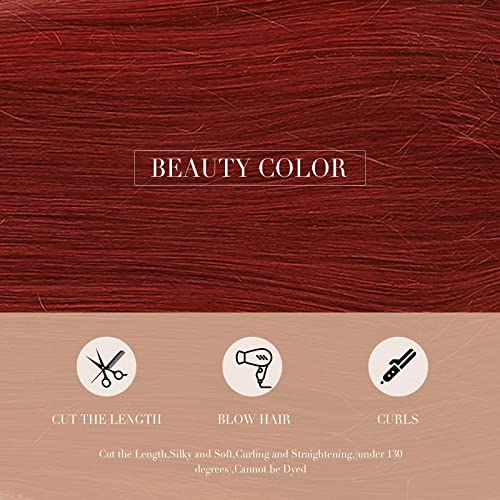 HAIRCUBE 20 Inch Nature Straight Ombre Wigs shown as reddish-brown synthetic hair with a smooth, straight texture